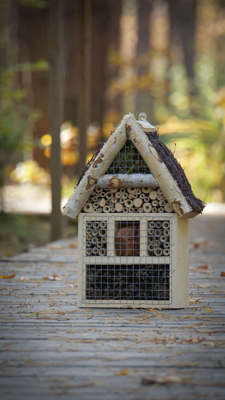 Insektenhotel mit Reisigdach